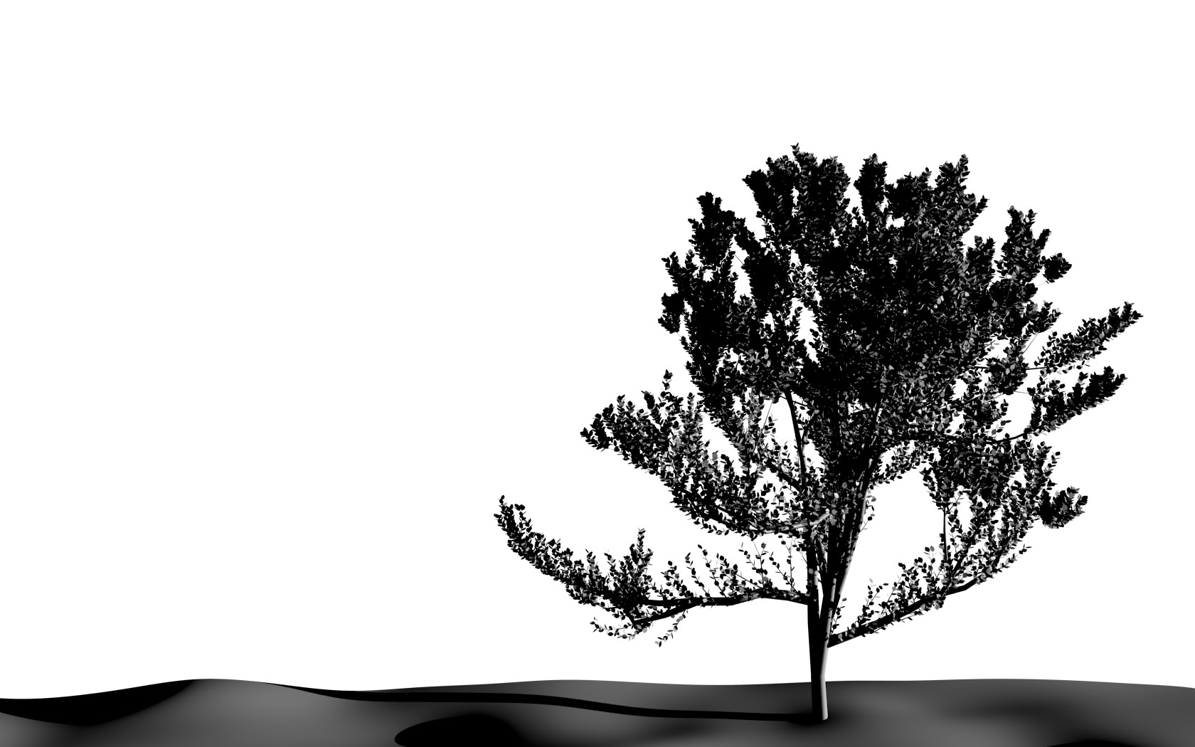 /art/blender/images/