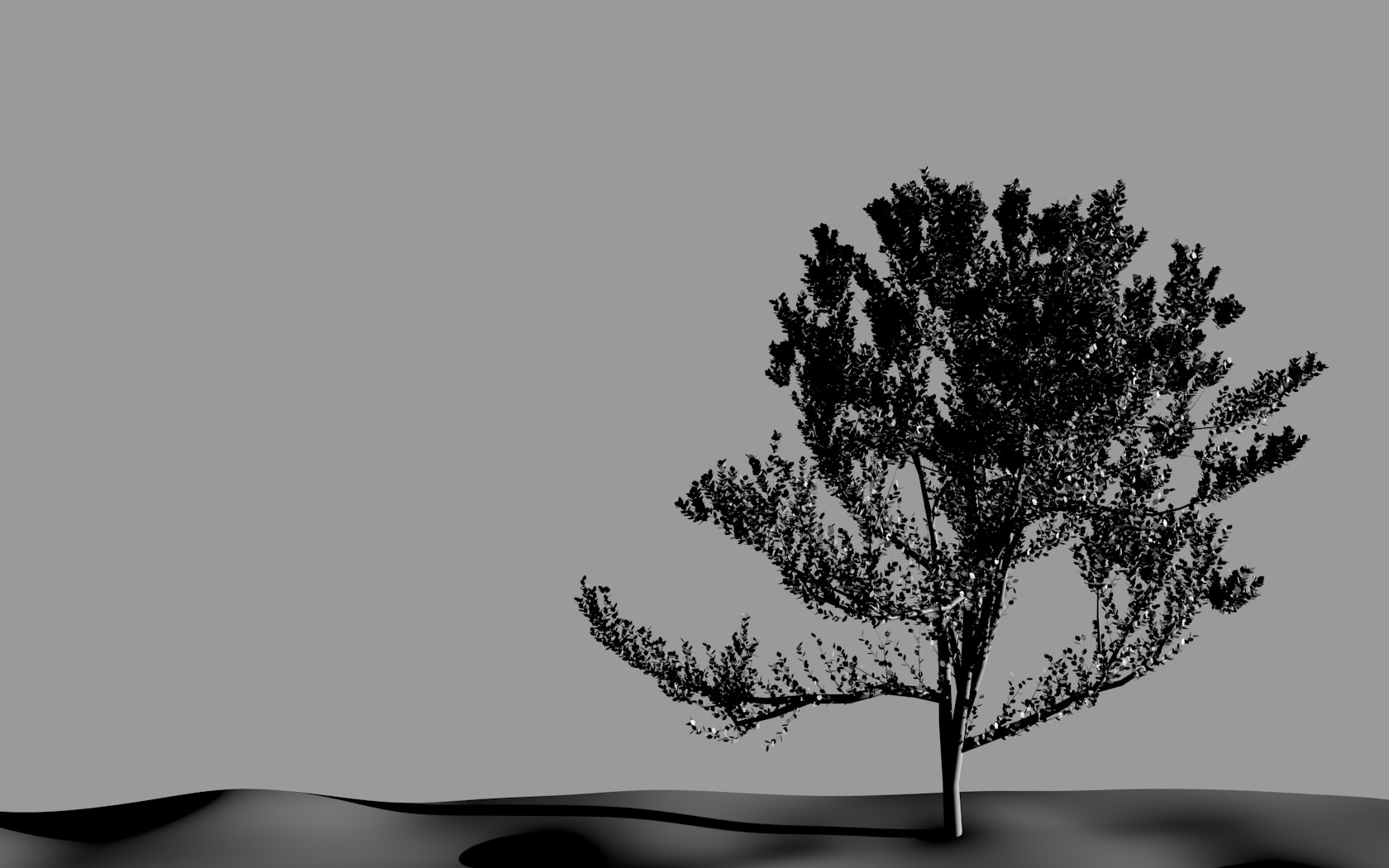/art/blender/images/