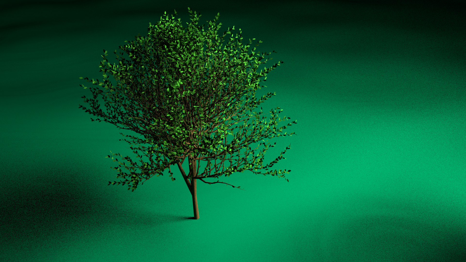 /art/blender/images/
